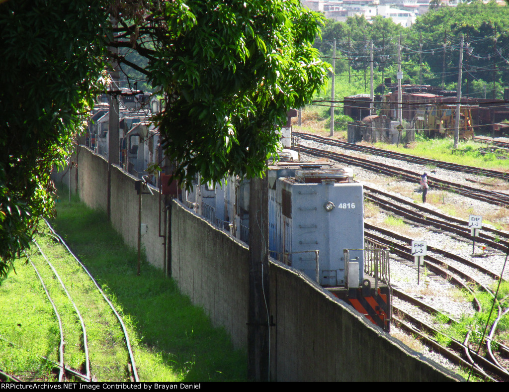 VLI 4806